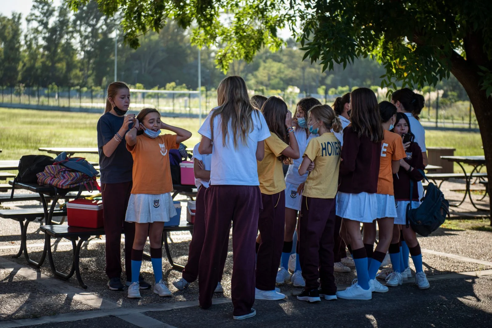 Imagen representativa