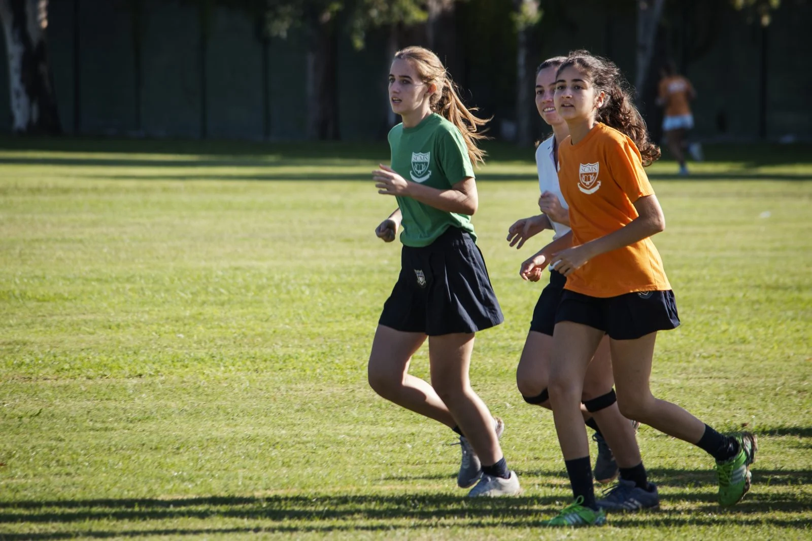 Imagen representativa